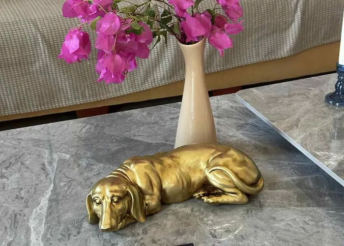 Castle بيت للعطل